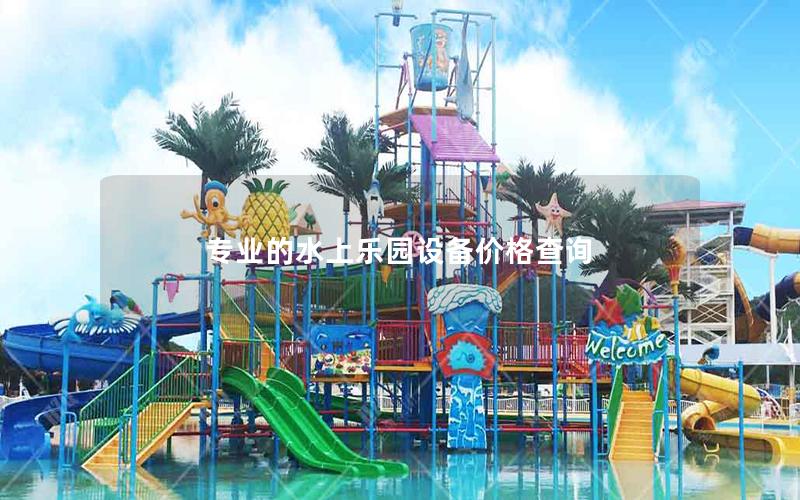 專業的水上樂園設備價格查詢 專業的水上樂園設備價格查詢